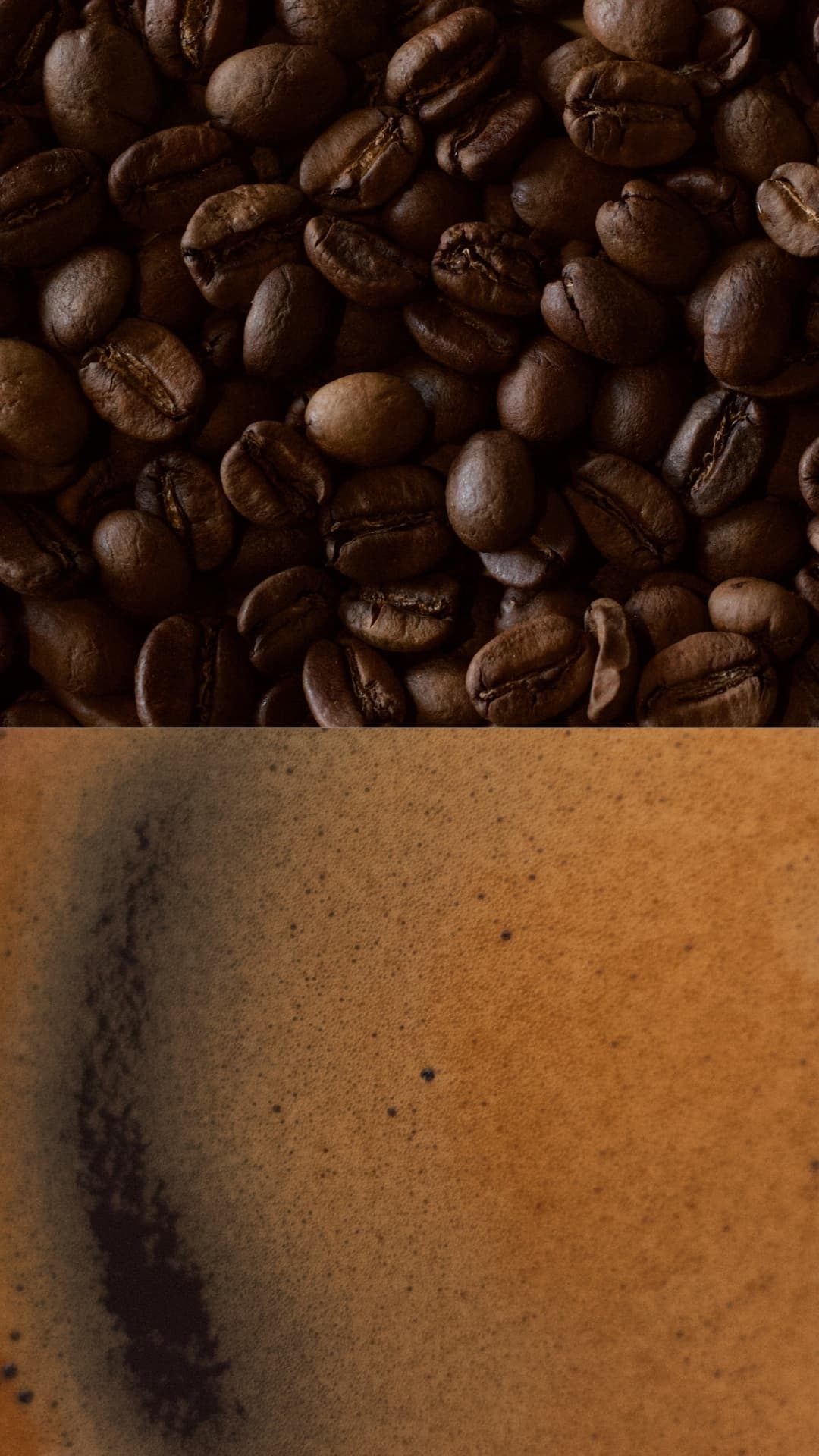 Lattes Funcionales